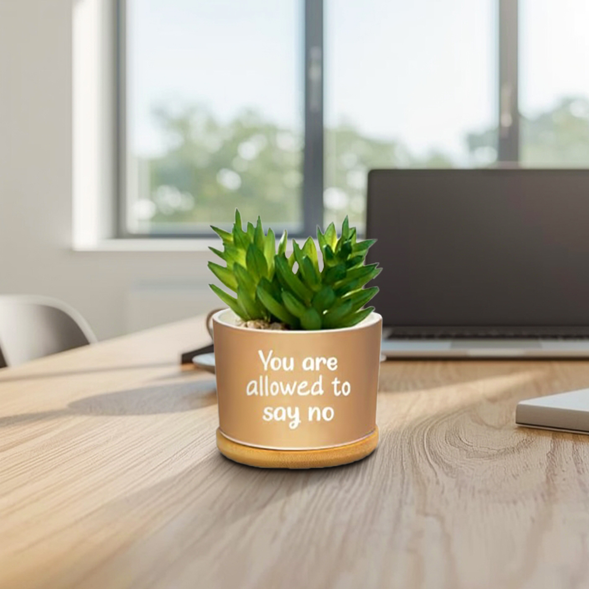 Positive Affirmation Ceramic Succulent Pot with Bamboo Tray - Image 8