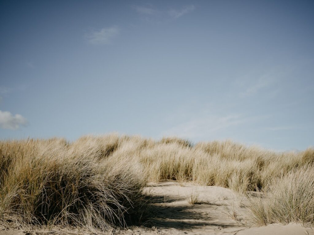 Affirmations Are Not Lies You Tell Yourself — They Are Truths You Are Learning to Believe