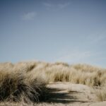 Affirmations Are Not Lies You Tell Yourself — They Are Truths You Are Learning to Believe