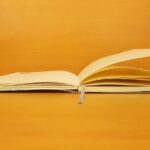 The Wound That Taught Me to Write