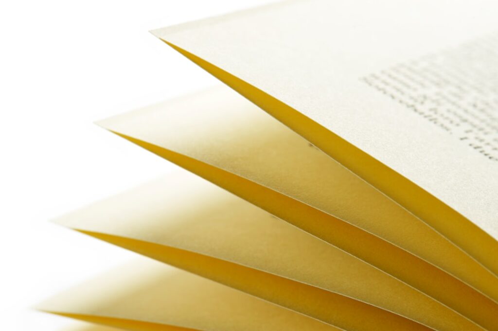 When Words Become Wounds That Heal: The Quiet Power of Poetry