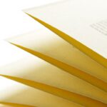 When Words Become Wounds That Heal: The Quiet Power of Poetry
