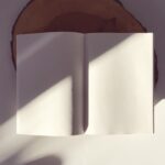 When Words Become Wounds That Heal: A Love Letter to Poetry
