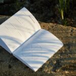 When Words Become Wounds That Heal: The Hidden Power of Poetry