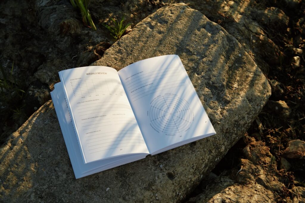The Wound Is Also a Door: Finding Healing in the Pages
