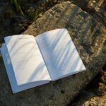 The Wound Is Also a Door: Finding Healing in the Pages
