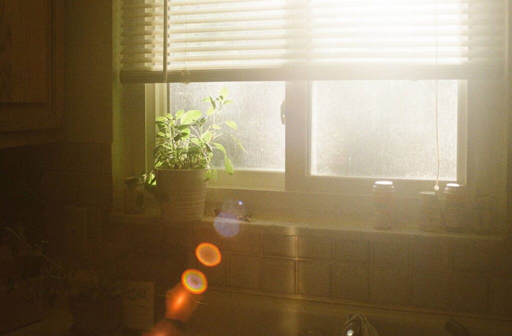 The Art of Coming Home to Yourself: Mindfulness Through the Written Word