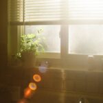 The Art of Coming Home to Yourself: Mindfulness Through the Written Word