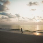 The Quiet Art of Coming Home to Yourself: Mindfulness Through Words and Presence